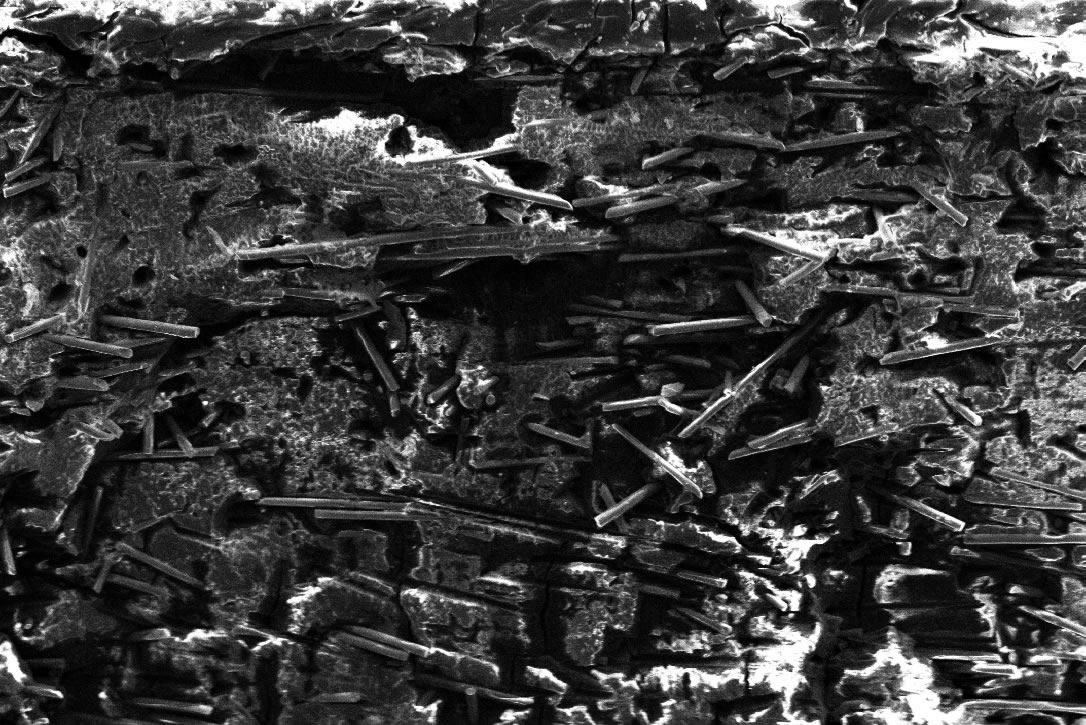Plastic Degradation